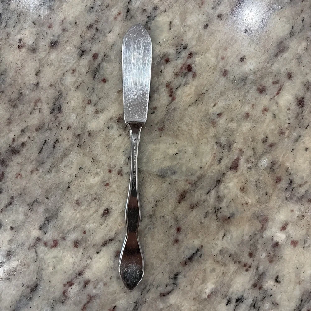 Oneida Twilight Stainless Steel Butter Knife Spreader 6 3/4